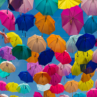 dozens of umbrellas